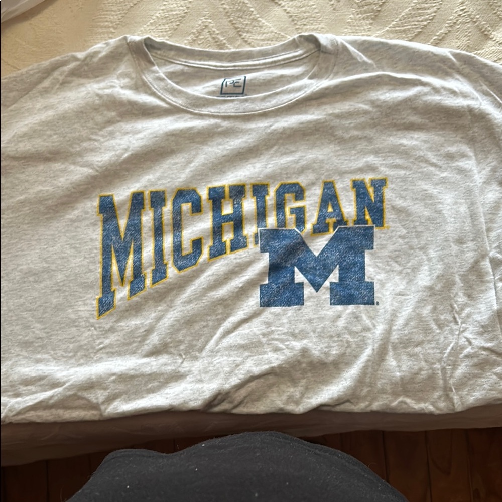 Champion Michigan Gray T-Shirt